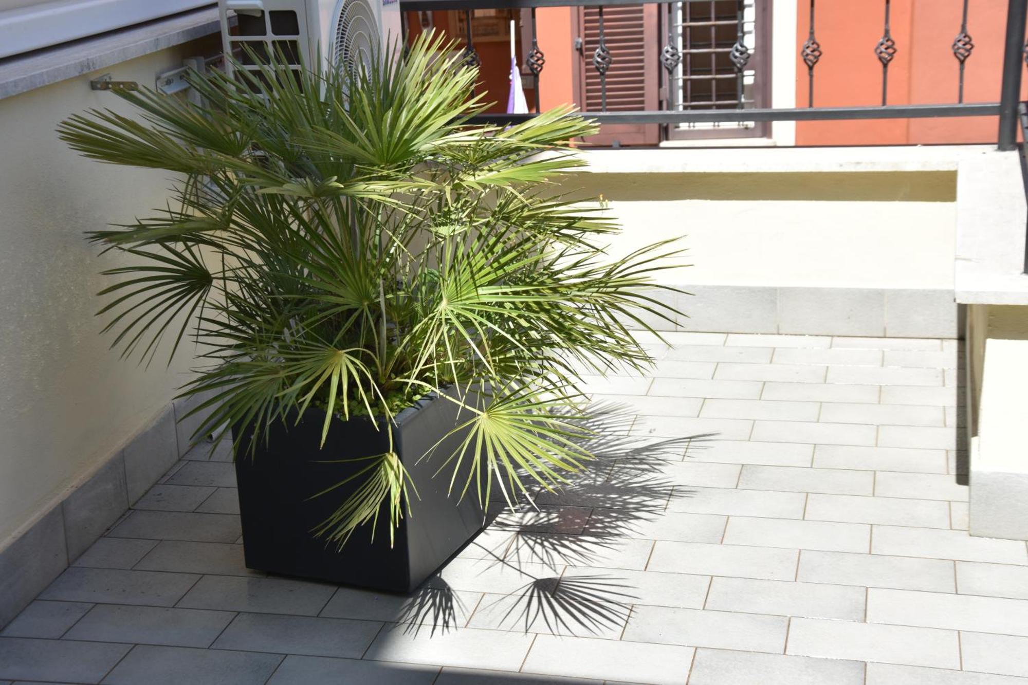רומא Diasof Apartments מראה חיצוני תמונה